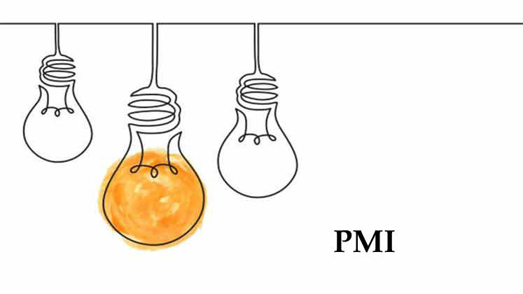 فكرة PMI