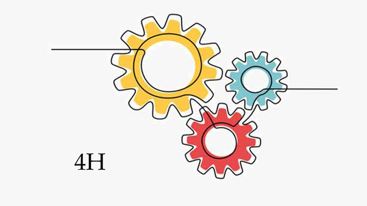 نشاط نهاية الحصة- 4H